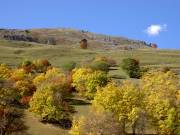 Couleurs d automne